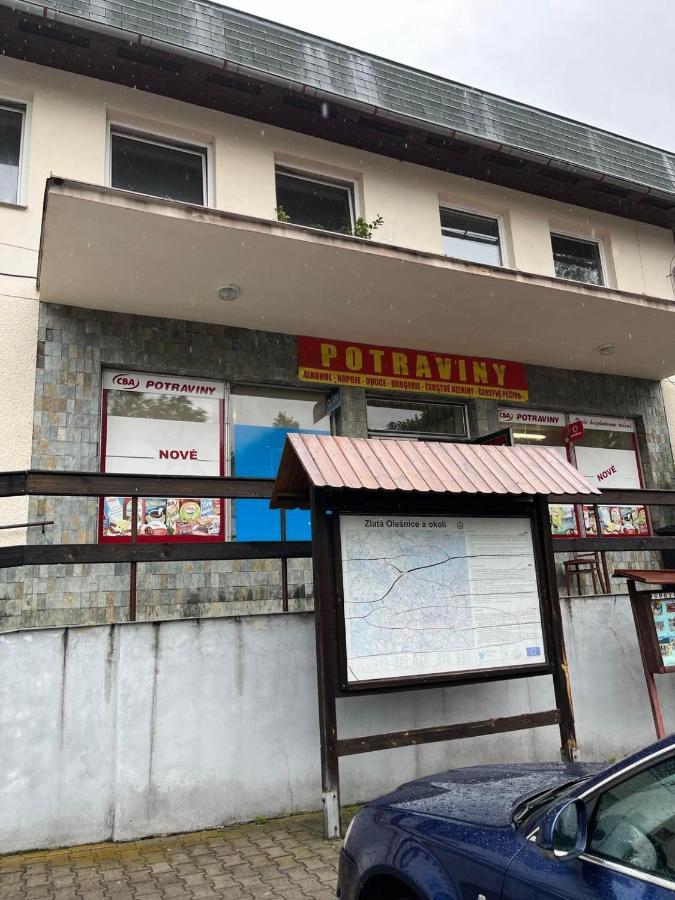 Apartman Na Horach Zlata Olesnice  Bagian luar foto